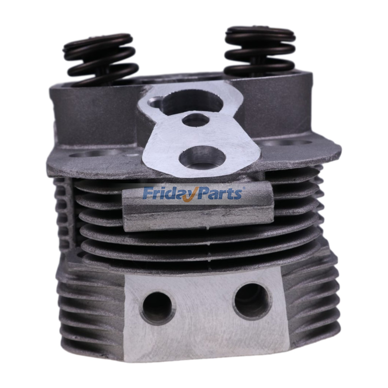  Cylinder Head with Valves 