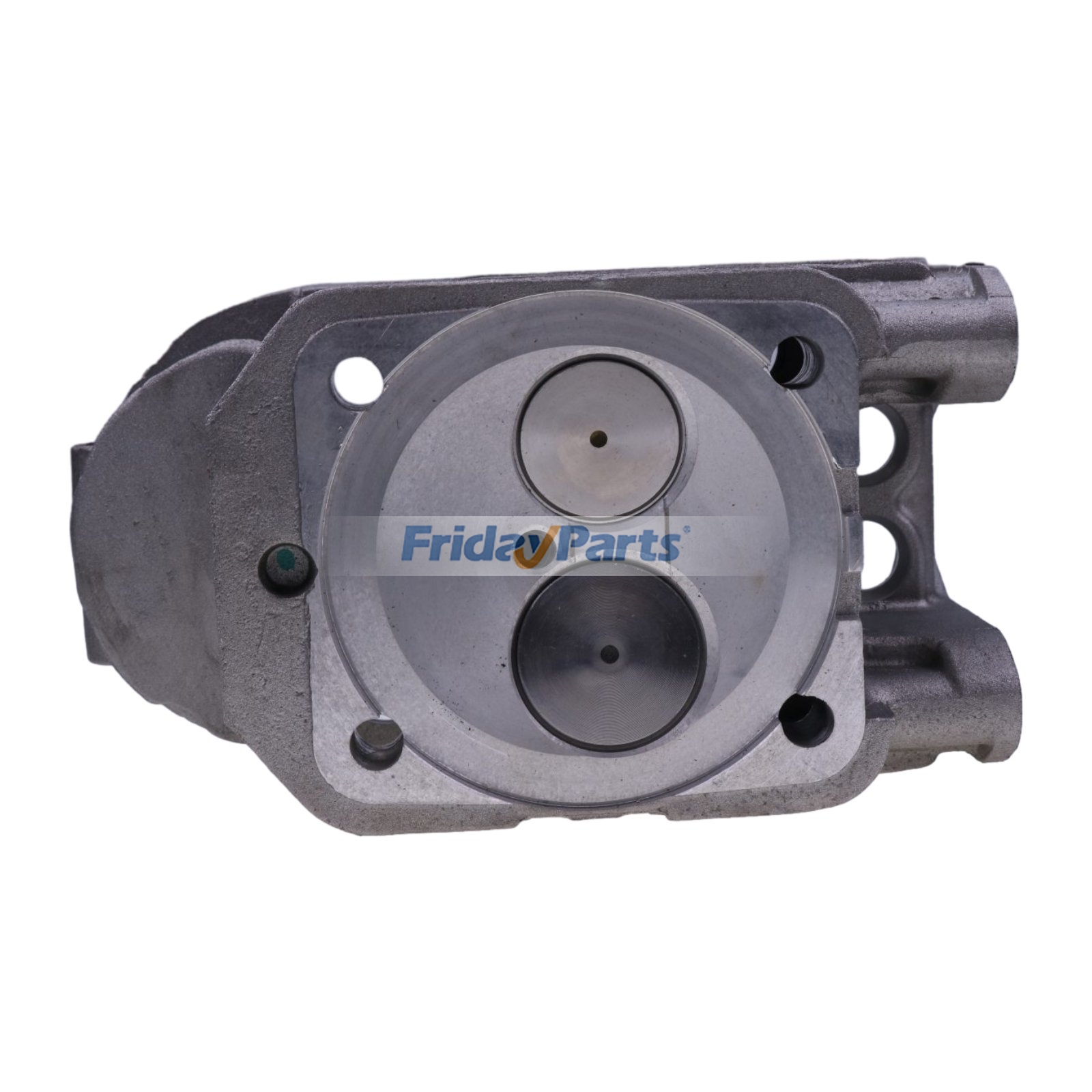 Complete Cylinder Head with Valves 04231661 for Deutz Engine BF4L913 BF6L912 F3L913 F4L913 F6L912 F3L912 F4L912 for less