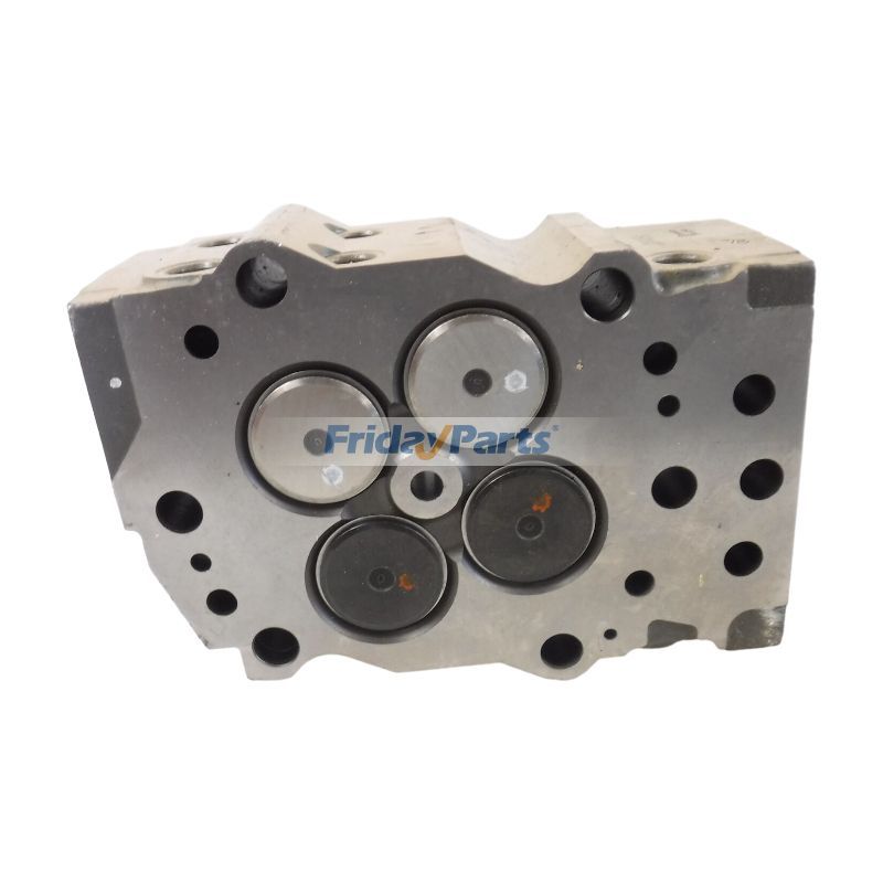 kkiii Amazon.com: Cylinder Head Assembly 3646323 for Cummins Engine K19