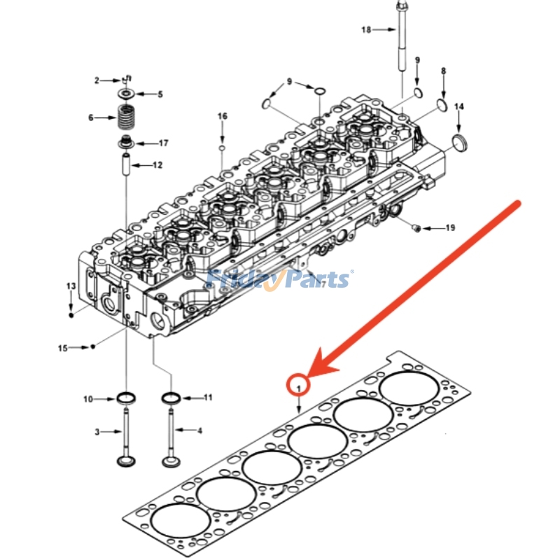 Cylinder Head Gasket for Excavator,Harvester,Loader,Tractor