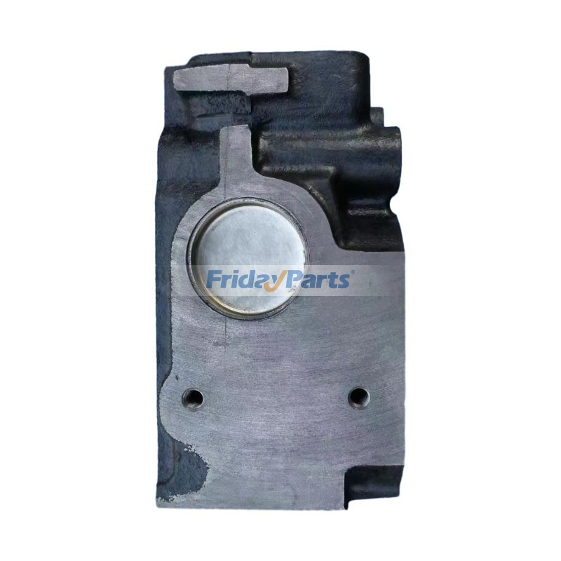  Complete Cylinder Head with Valves New Holland For New Holland