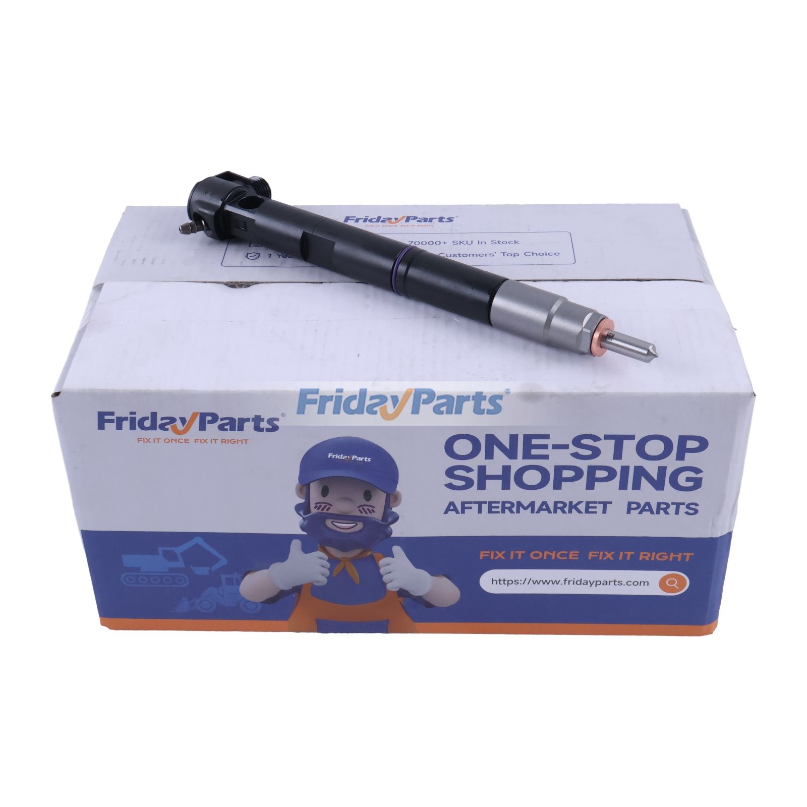 Delphi Fuel Injector for Vehicle,Others