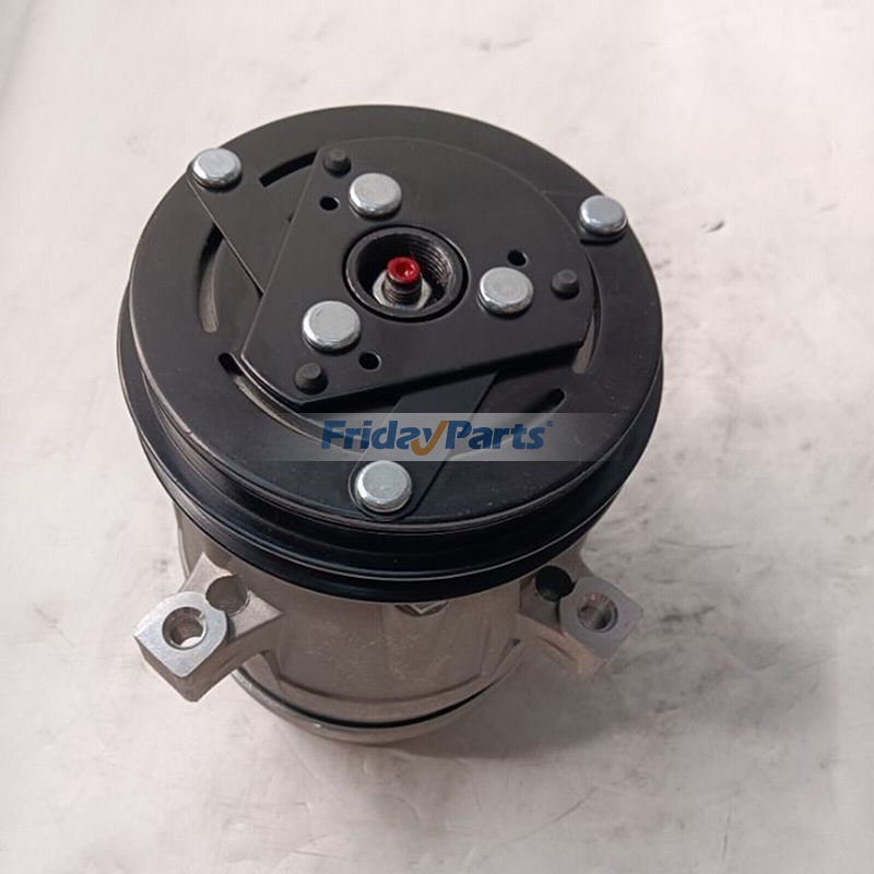 Vehicle Delphi V5 A/C Compressorfor Fiat Ducato Tempra Tipo Lancia Dedra