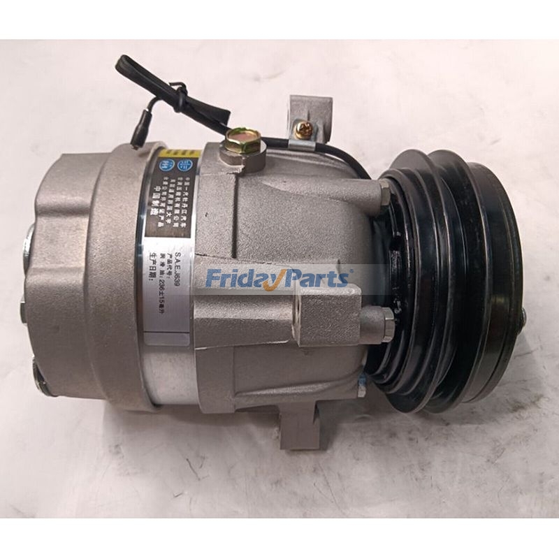 Delphi V5 A/C Compressorfor Fiat Ducato Tempra Tipo Lancia Dedra for Vehicle