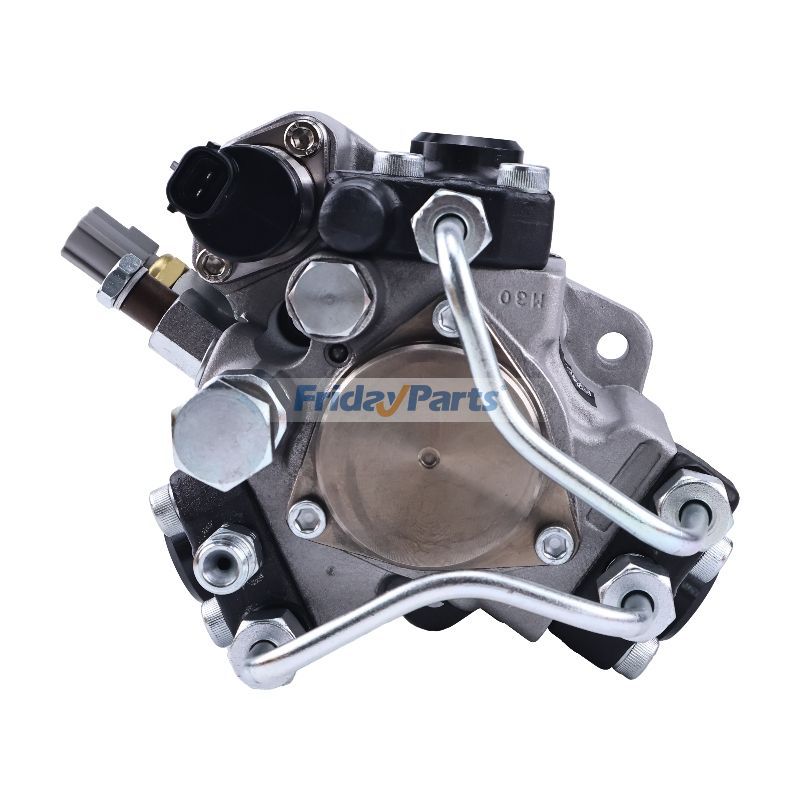 Einspritzpumpefür Motor