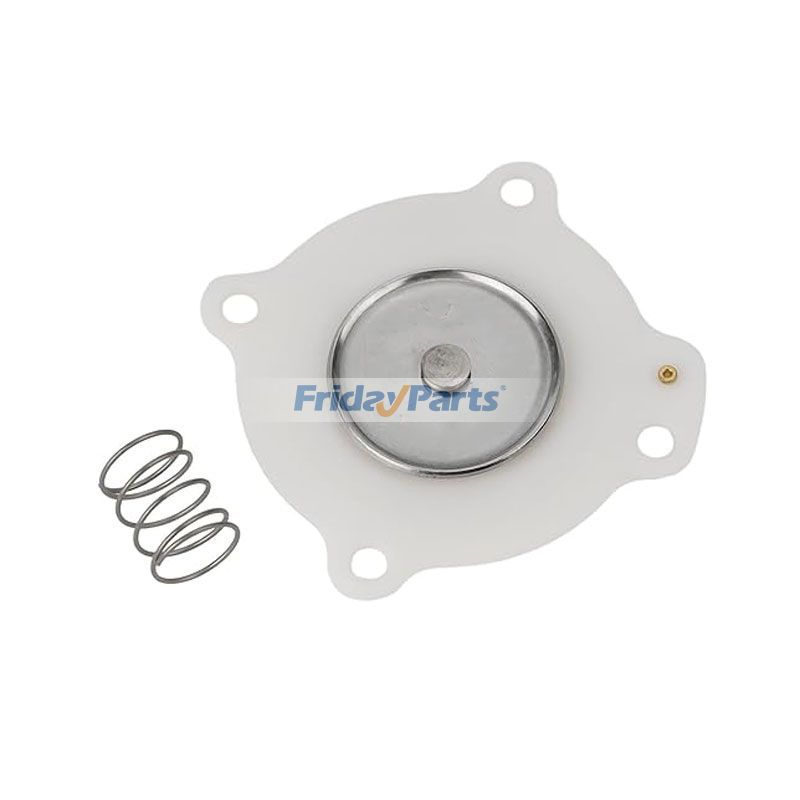 ダイヤフラムポンプ修理キット C113444 1インチバルブ G353A042 SCG353A043 用