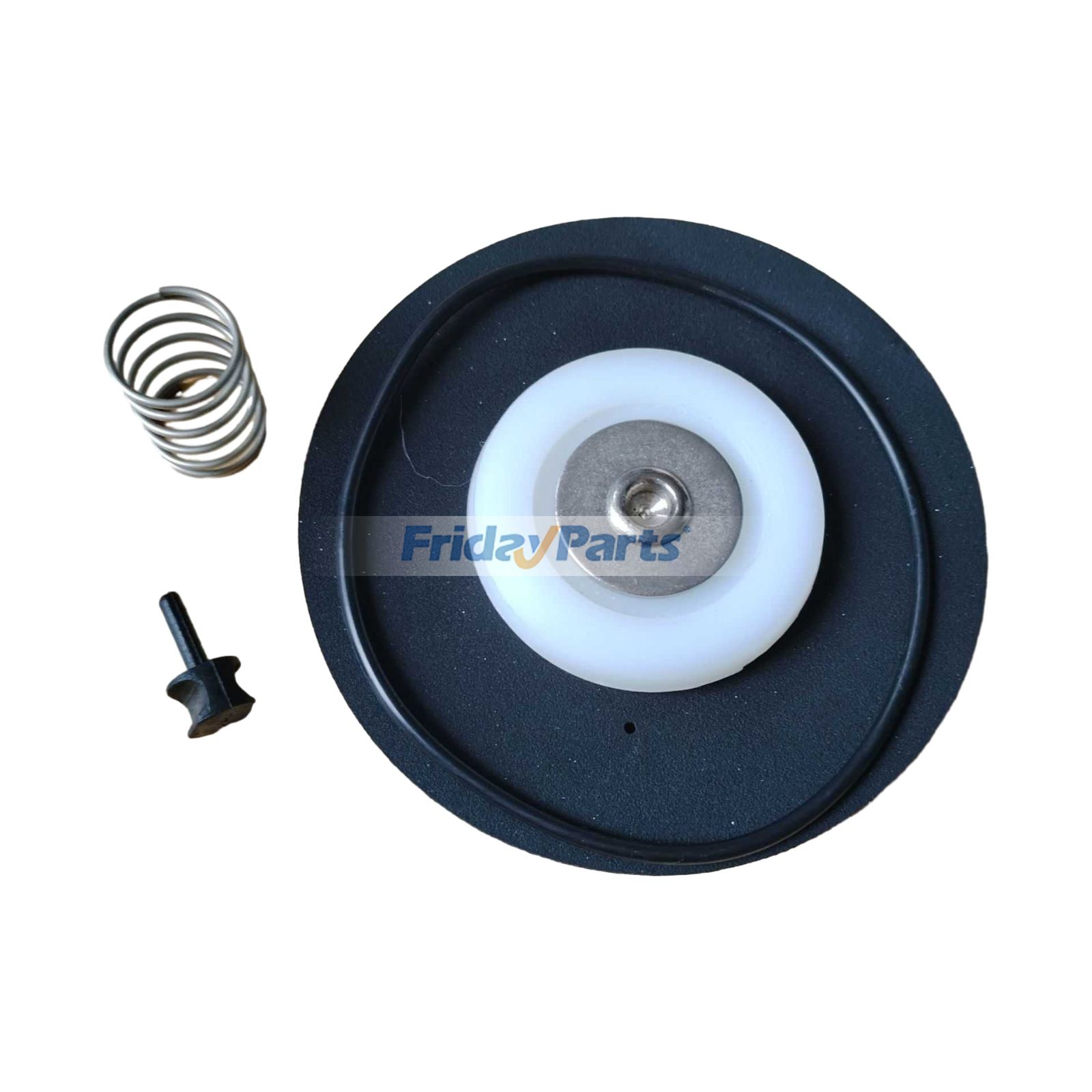 Goyen RCAC25パルスバルブ用ダイヤフラムキット K2529