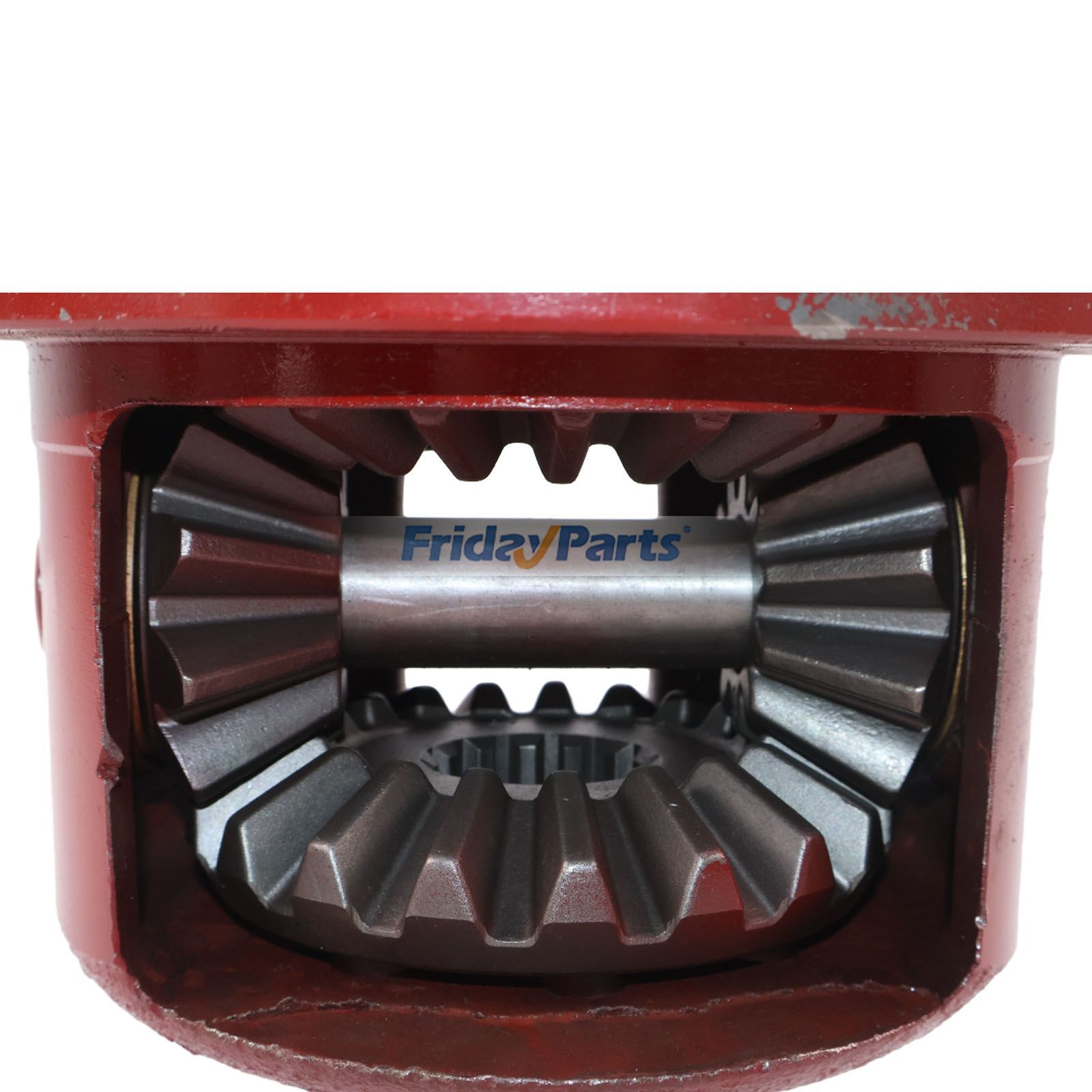 FridayParts Differential Gear Assembly