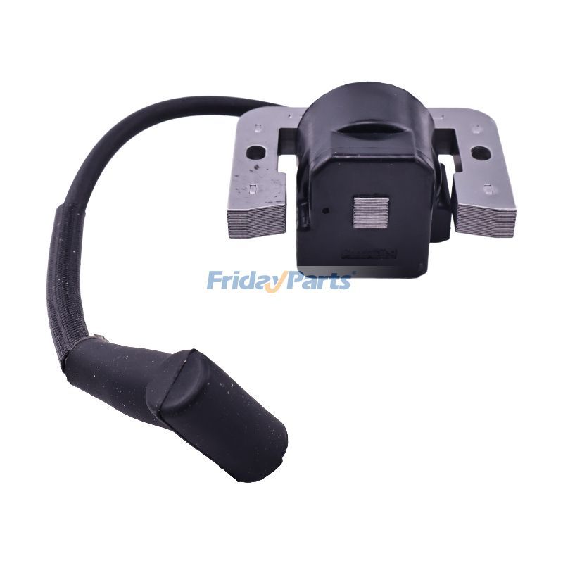 Engine Digital Ignition Module