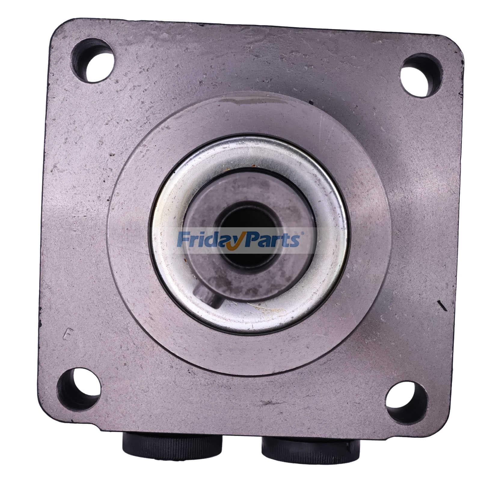 FridayParts Drive Hydraulic Motor