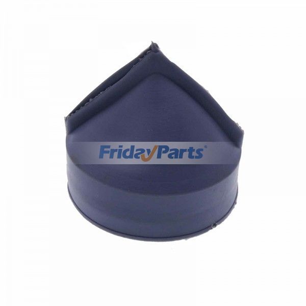 Engine Dust Ejector Valve for Kohler