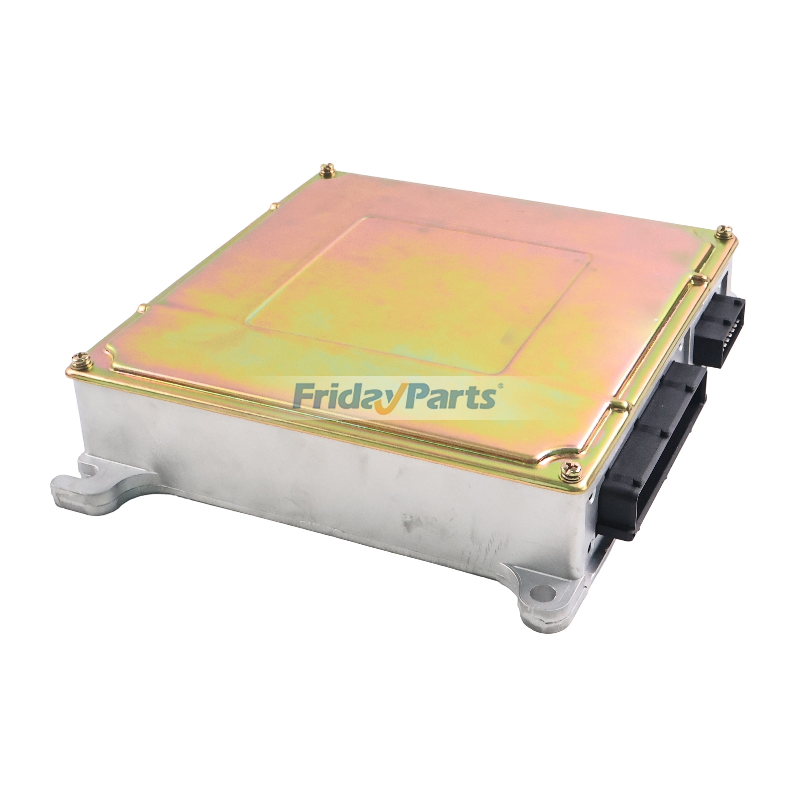 Centralina ECU di FridayParts