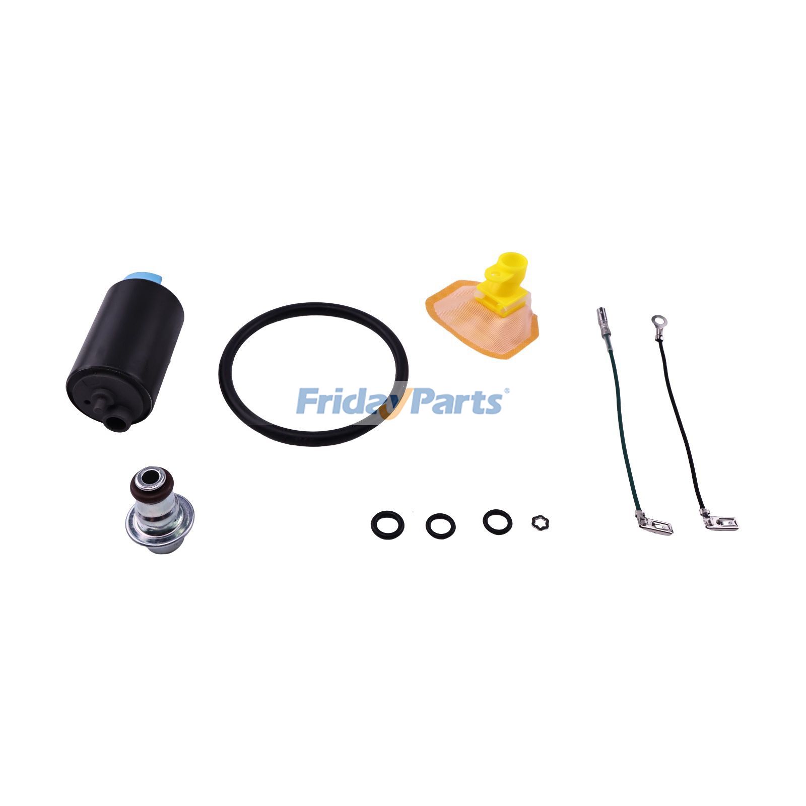 Fuel Pump & Regulator & Tank Seal in Stock in China