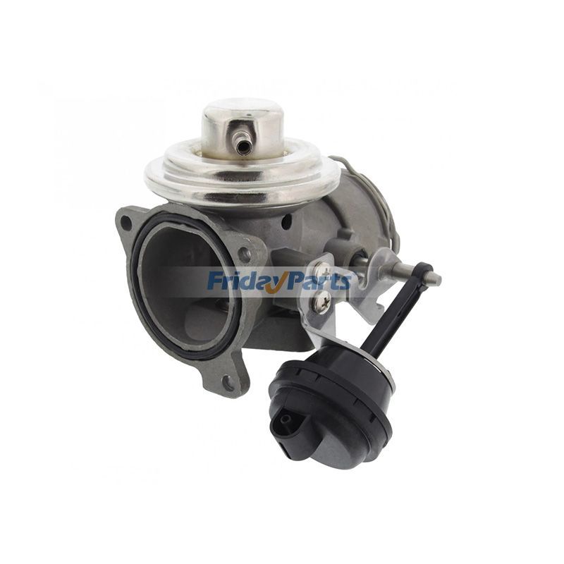 EGR Valve 038131501N 7518209 724809640 for Volkswagen New Beetle 1998-2010