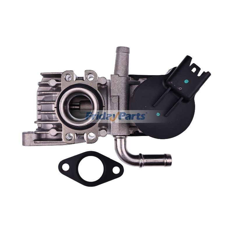 EGR Valve for BWM in Stock in China