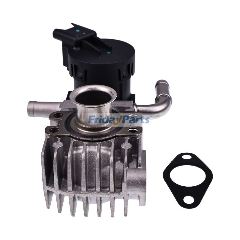 EGR Valve for BWM for Vehicle