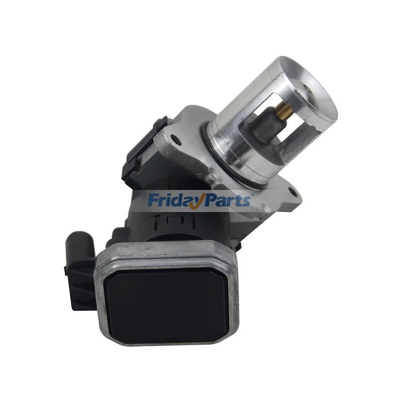 EGR Valve A6461401760 for Mercedes-Benz Engine OM646 S204 S211 W204 W211 VF211