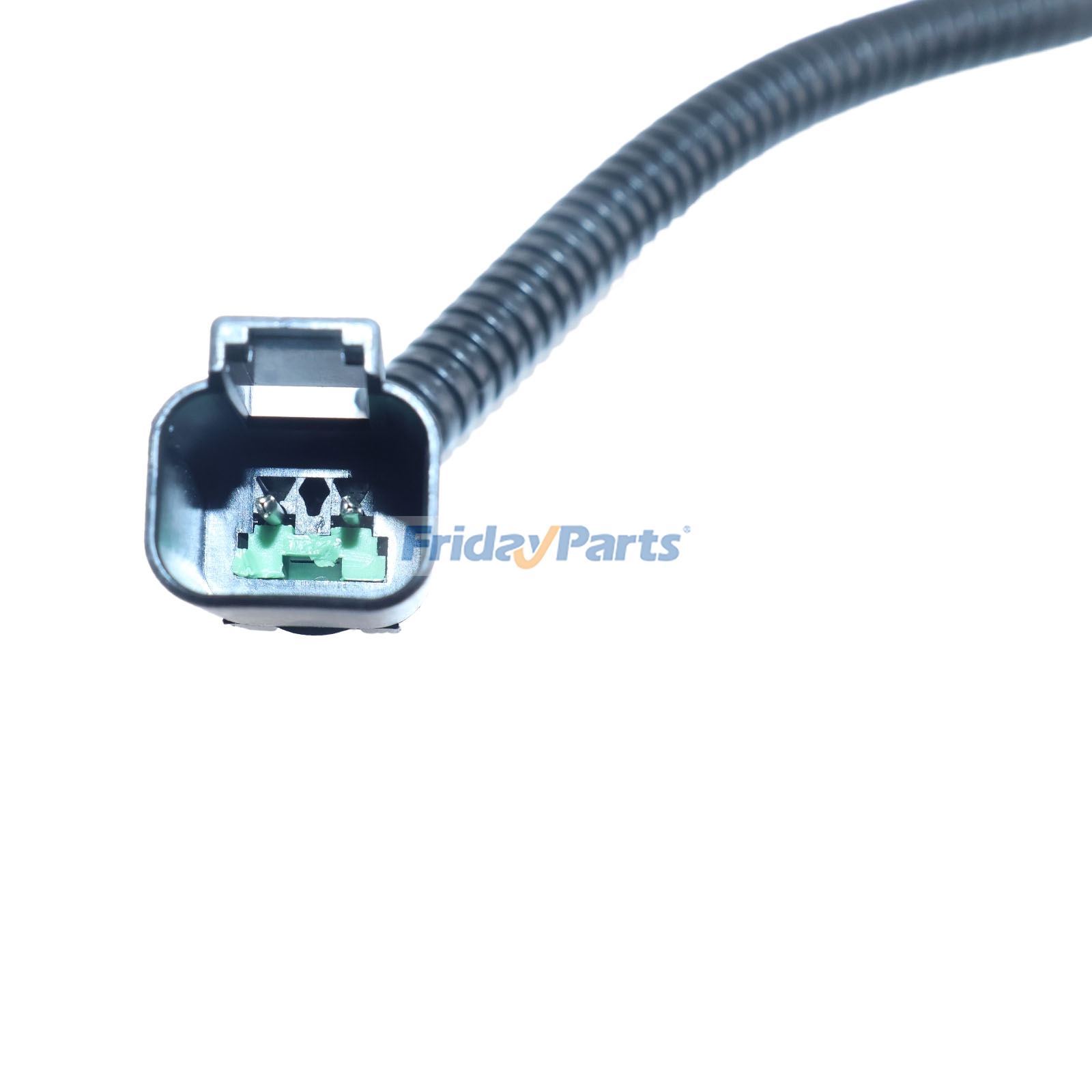 エンジン用電動燃料ポンプ船外機