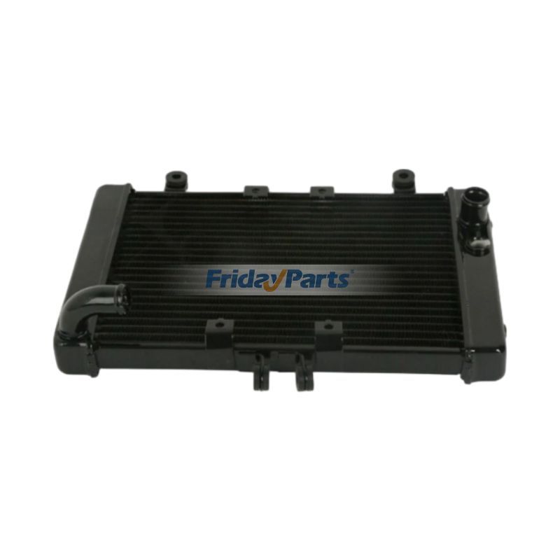 Kühler 19010-MZ1-003 für Honda CB1000 1993-1996