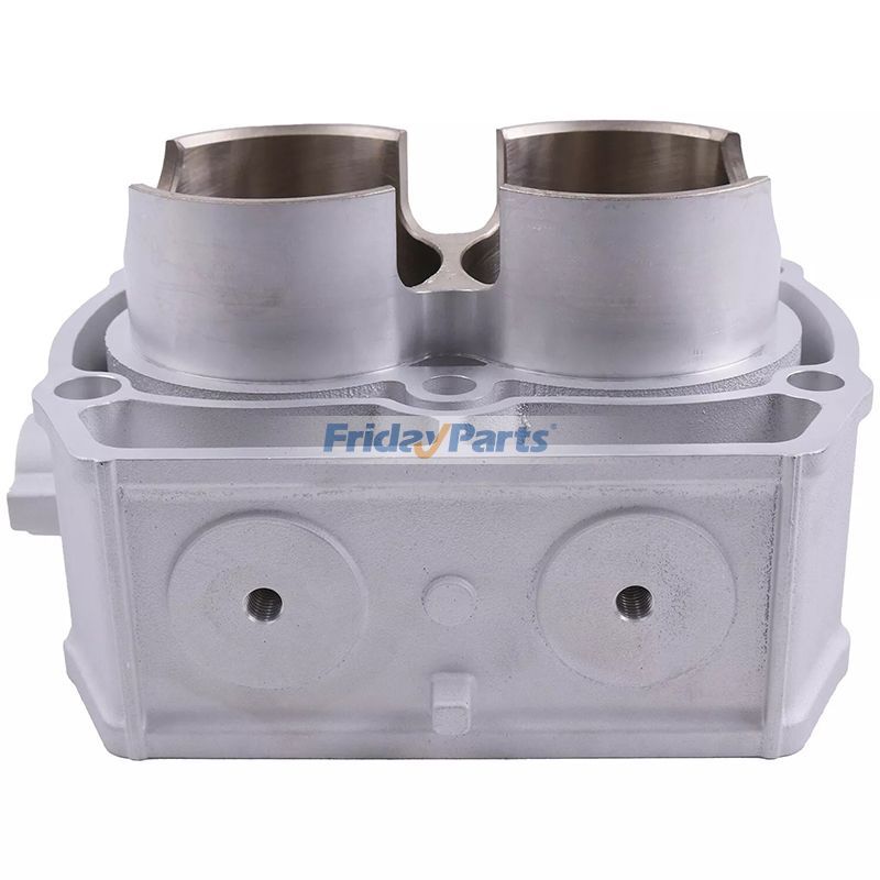 Motorzylinder 2204393 2203911 für Polaris RZR Ranger Sportsman