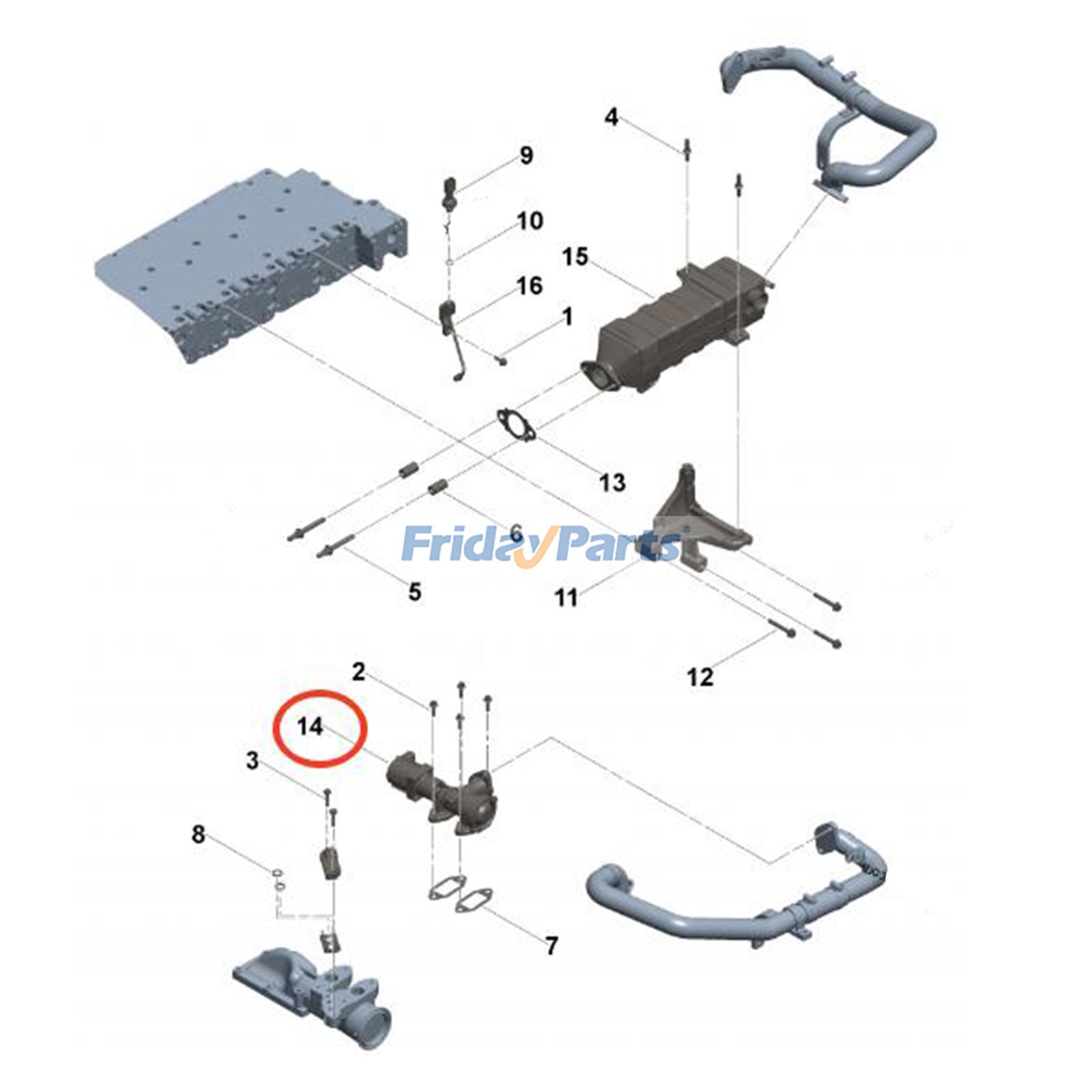 Exhaust Gas Recirculation Valve for Engine