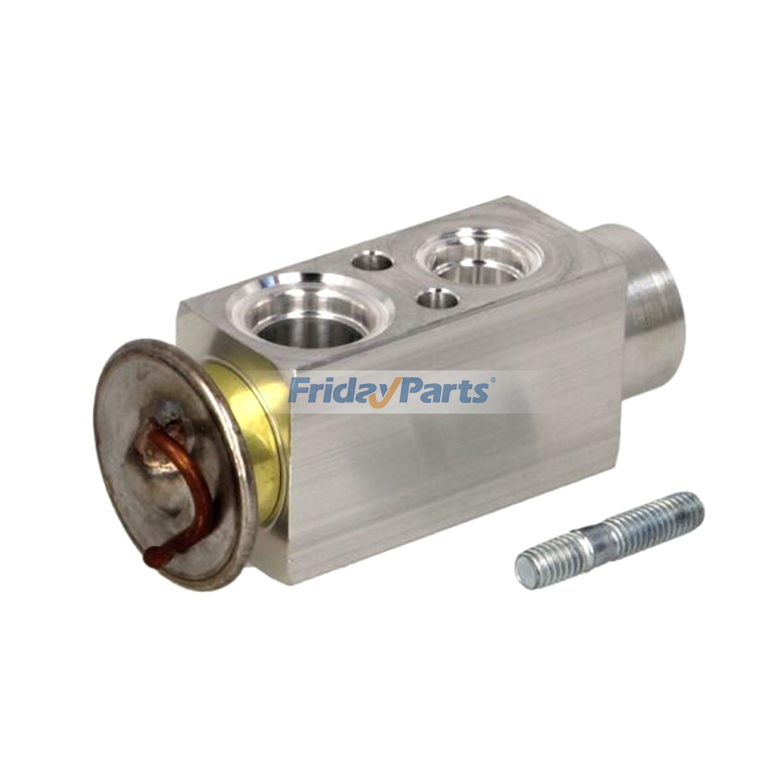 Expansion Valve 0000695090 for Fiat Ducato Marea Multipla Opel Omega Astra 1999-2003