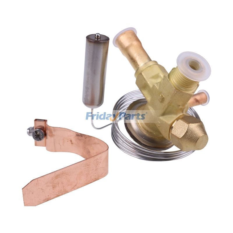 FridayParts Expansionsventil Kältemaschine Xarios 350