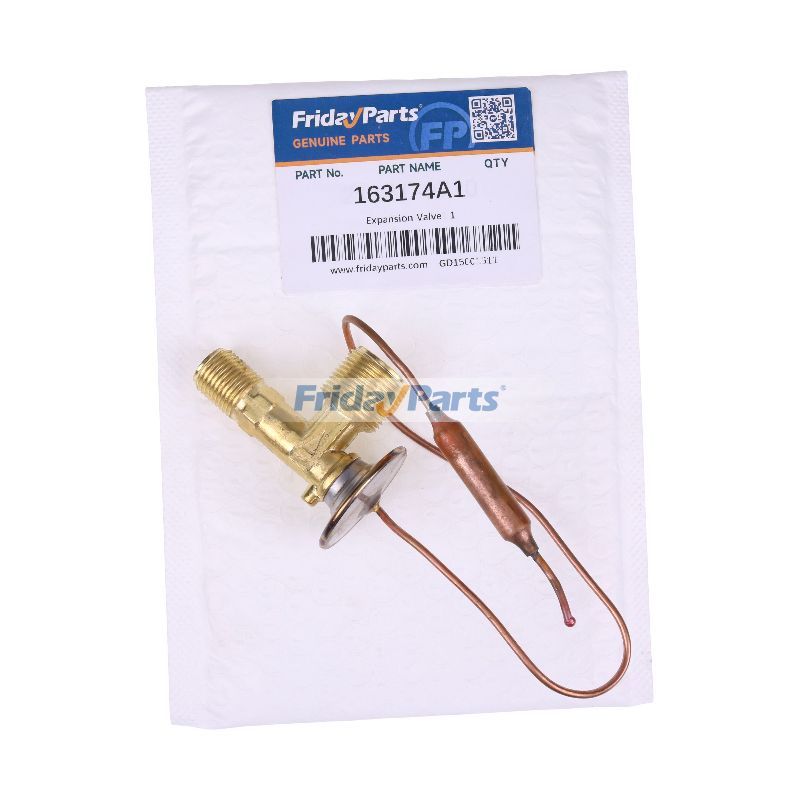 Válvula de expansión 163174A1 para excavadora CASE 9060B 9020B 9050B 9030B 9040B 9010B 9045B