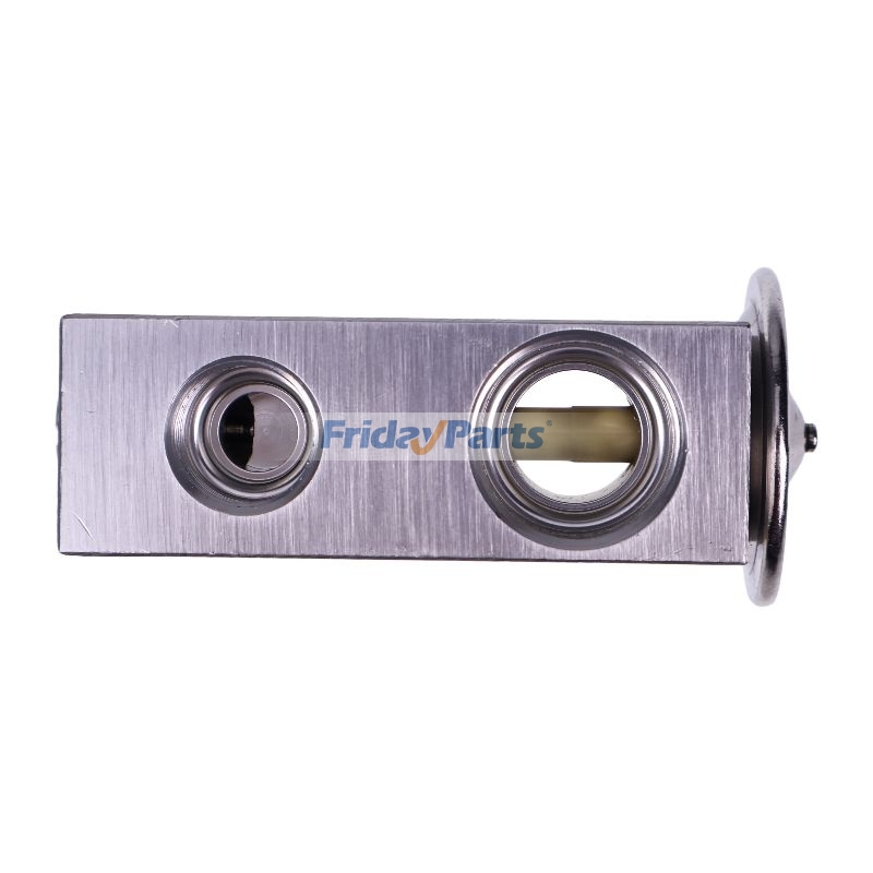  Expansion Valve For CASE