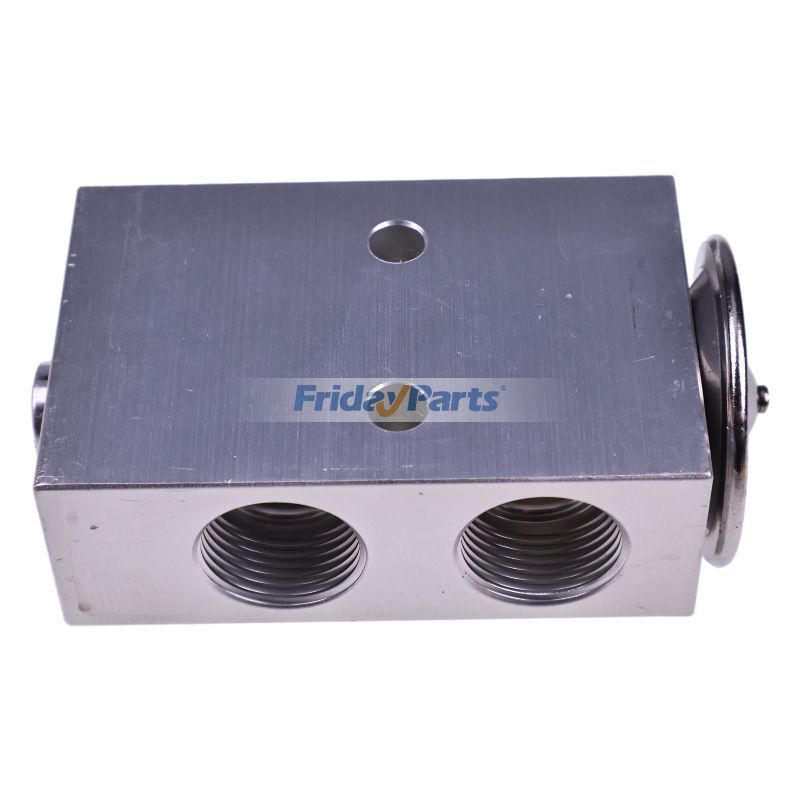 Expansion Valve for Deutz Allis for Tractor