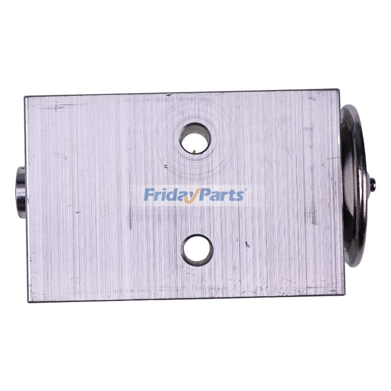 FridayParts Expansion Valve for Deutz Allis
