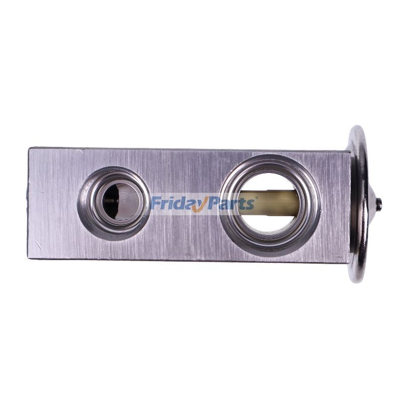  Expansion Valve For CASE