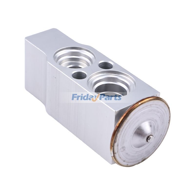 Expansion Valve for Excavator
