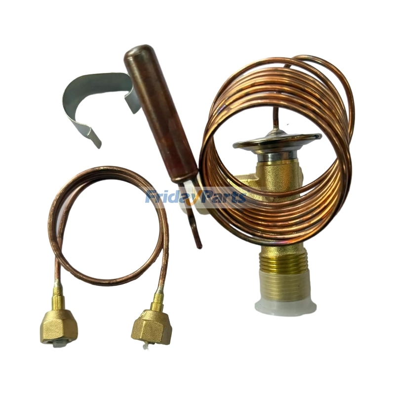 Expansion Valve for Others