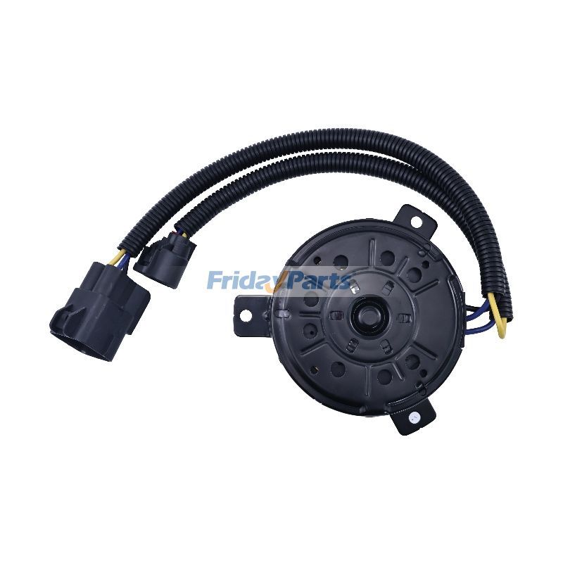 Vehicle Fan Motor