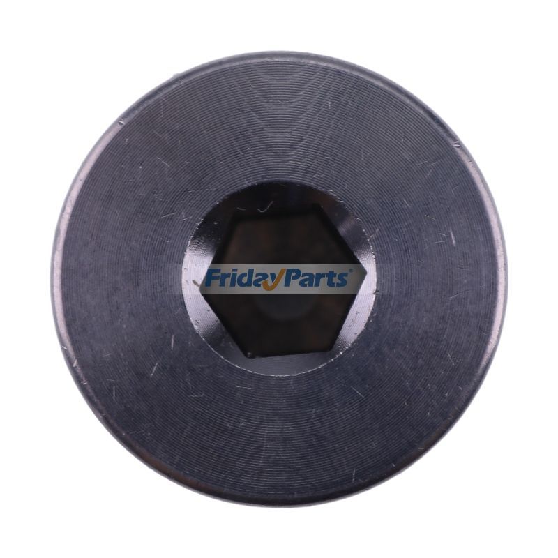 FridayParts Fill Level Drain Plug