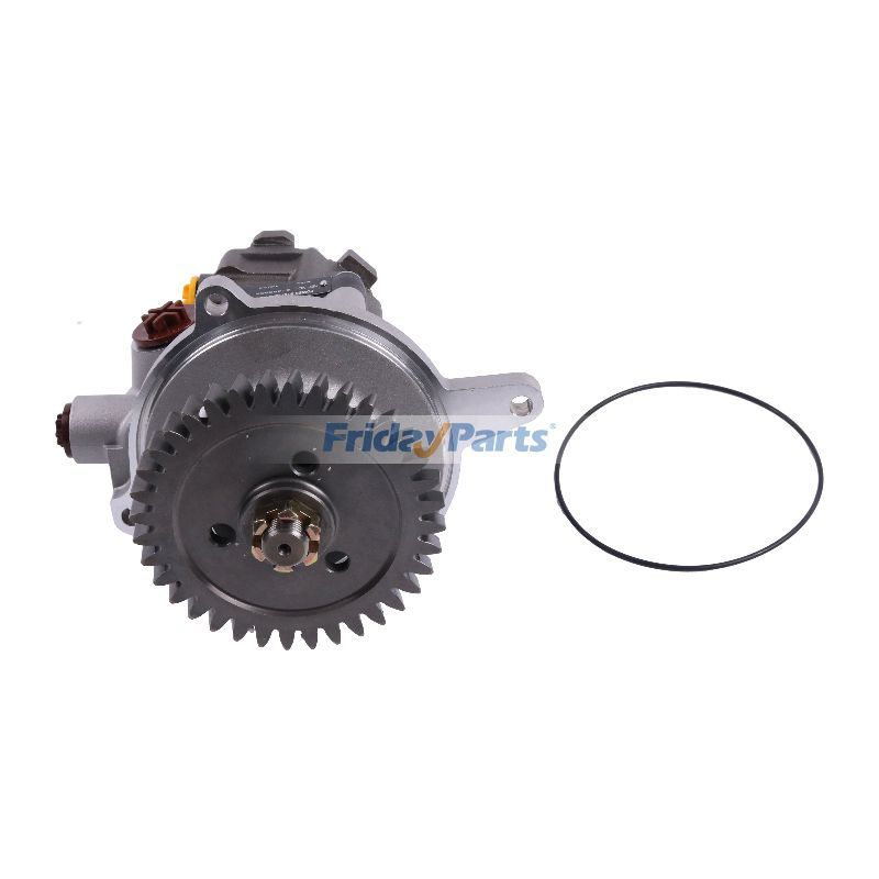 Pompe à carburant et de direction assistéepour Moteur