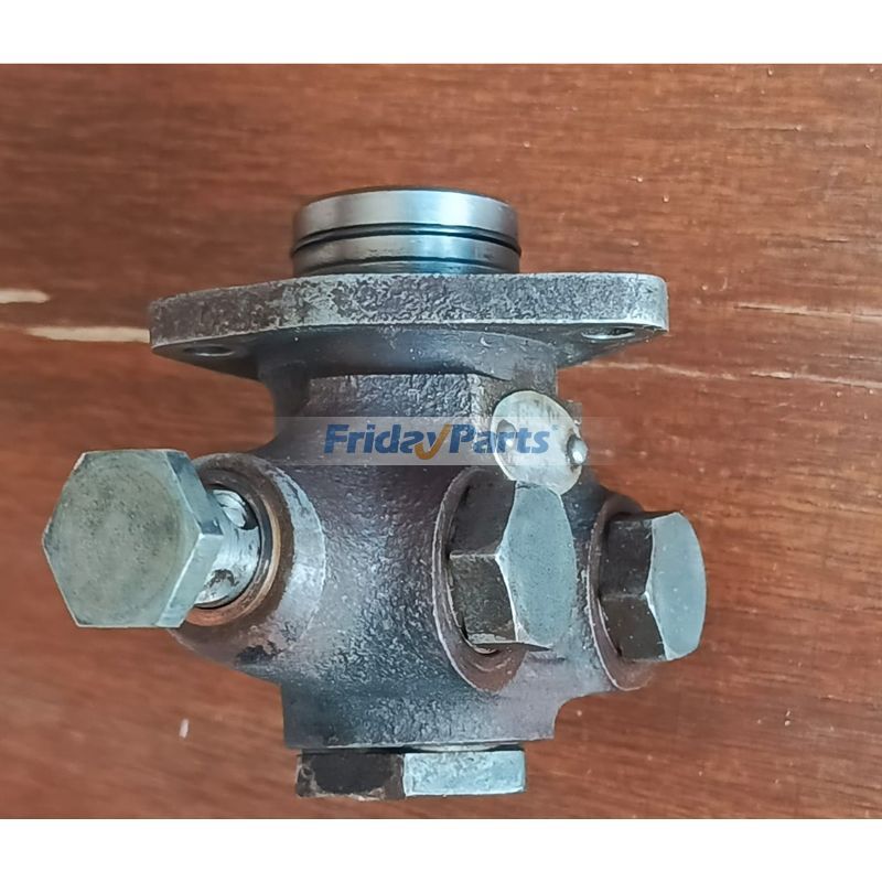 Kraftstoffpumpe 0440003178 für Deutz-Motor FL413 FL714 Vintage Schlepper LKW Traktor