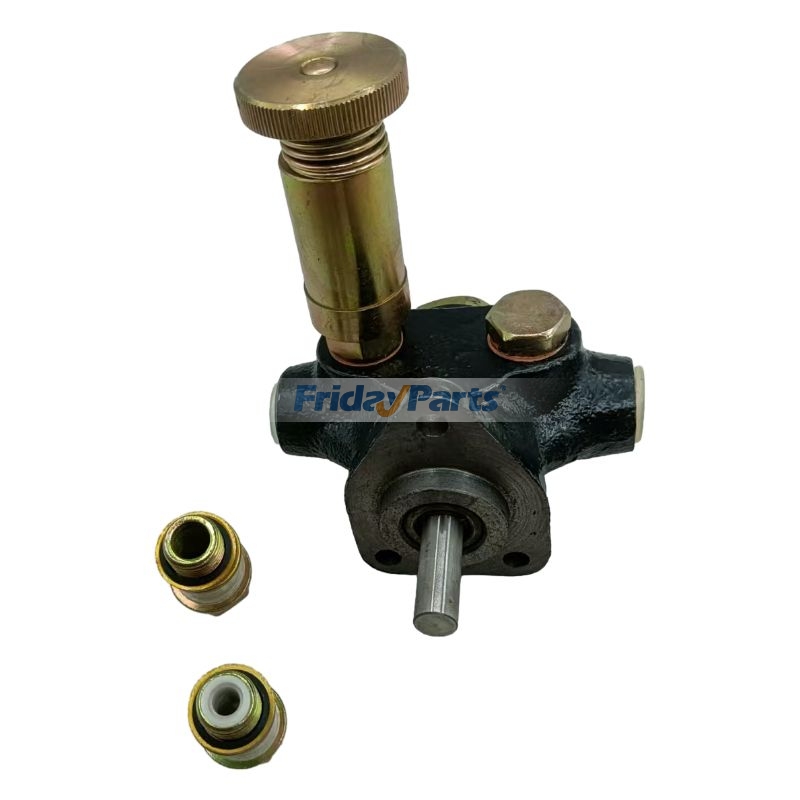 FridayParts Kraftstoff-Förderpumpe