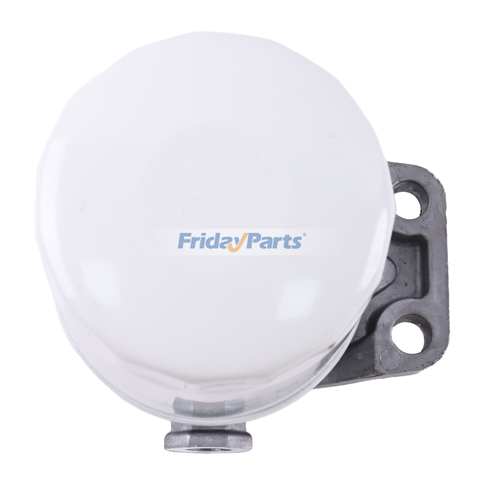 FridayParts Fuel Filter Assembly