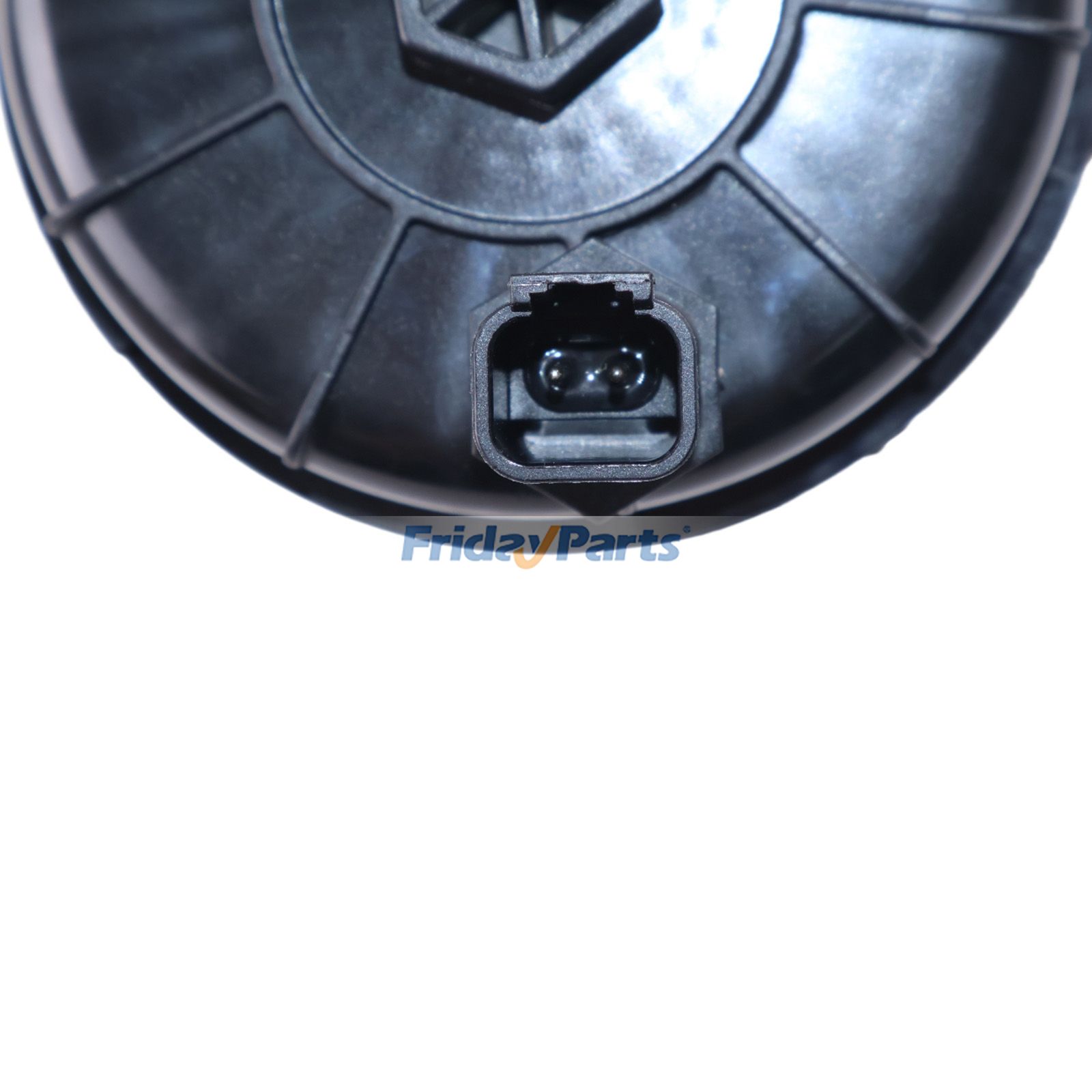 Fuel Filter Assembly  Engine