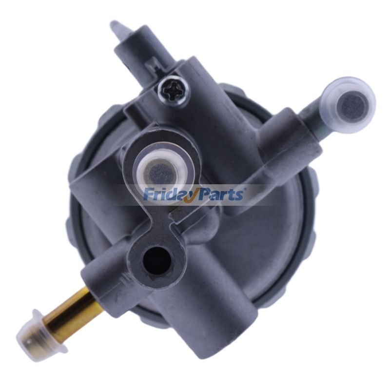 FridayParts Fuel Filter Assembly