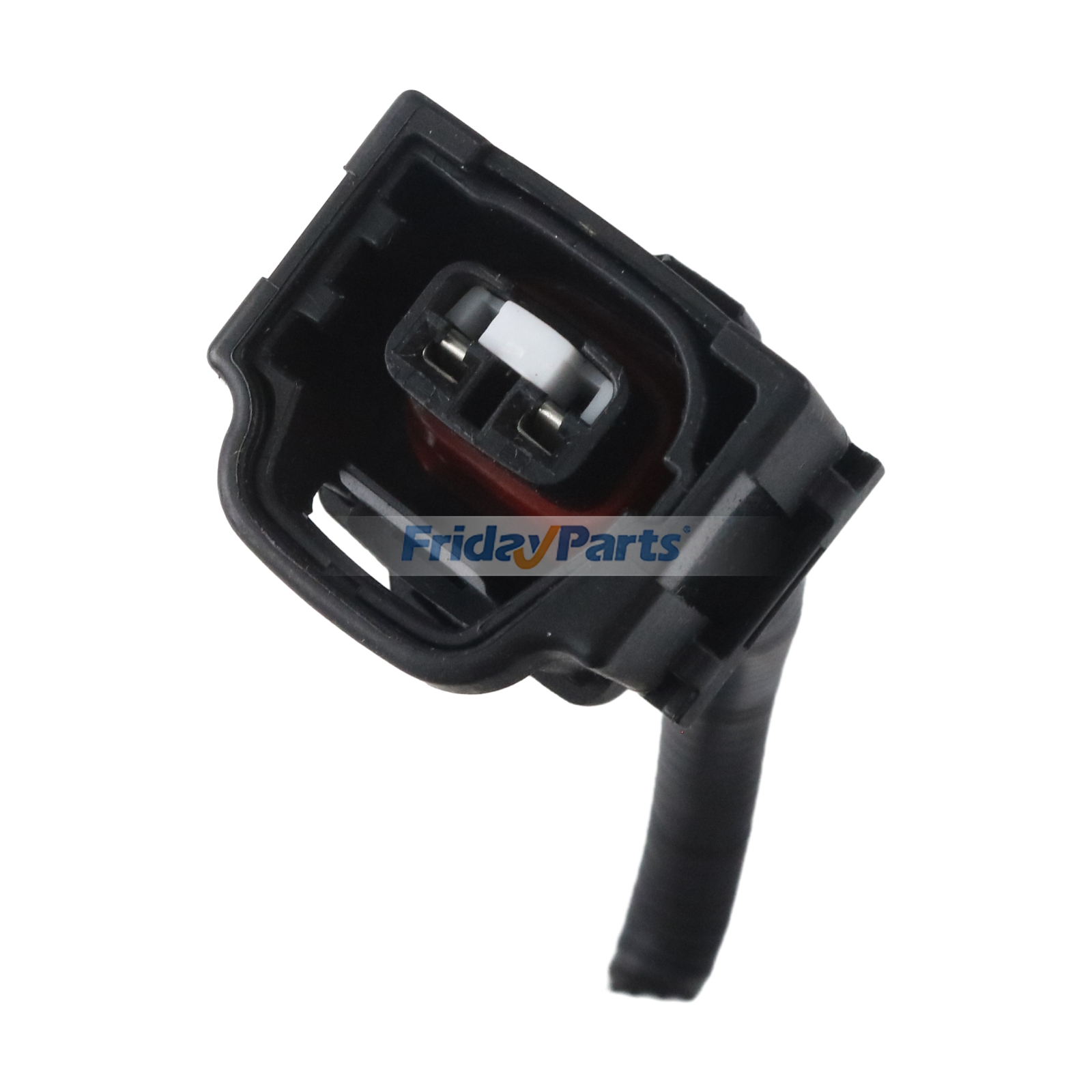 FridayParts Fuel Filter Assembly