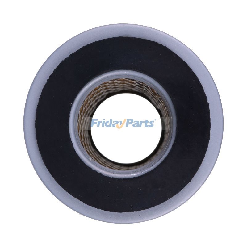 FridayParts Fuel Filter