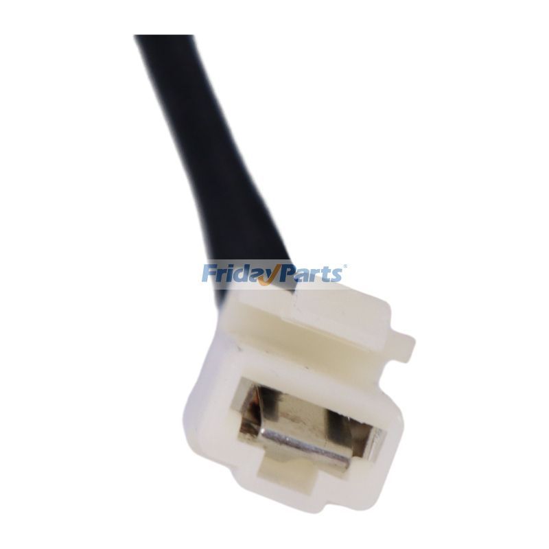 Fuel Injection Pump  Engine