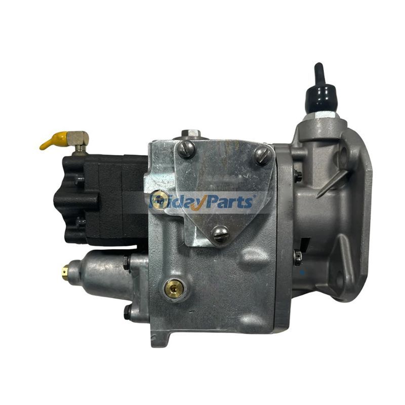 Fuel Injection Pump 3060711 for Cummins Engine NHC250 NH855 NT855