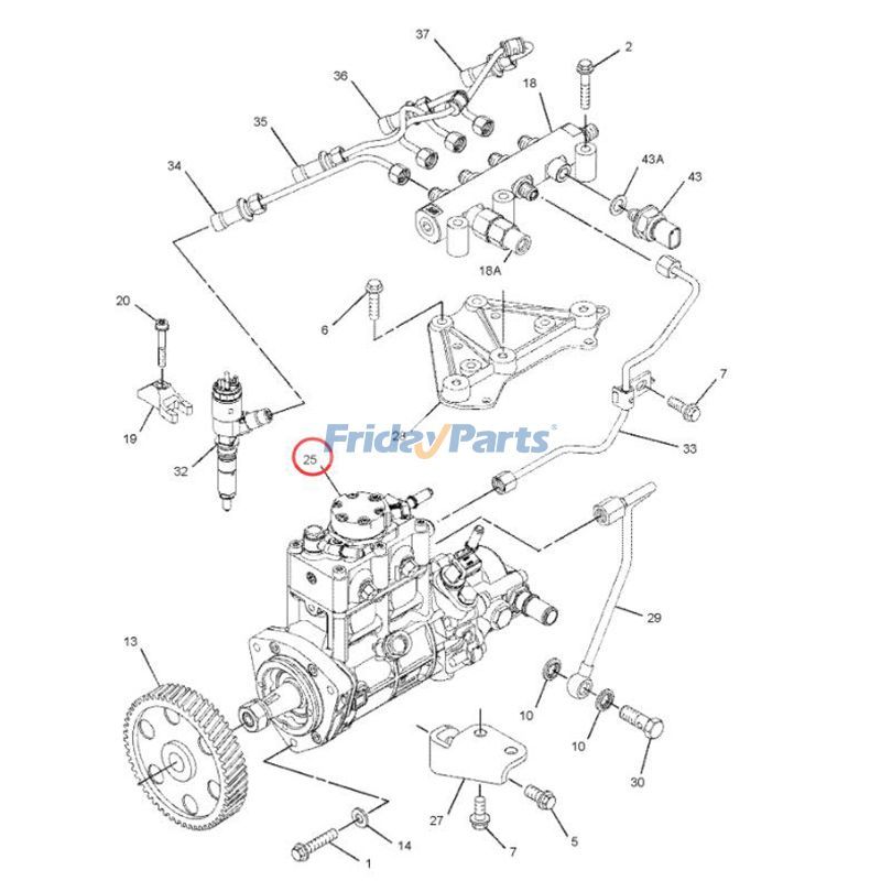 Fuel Injection For CAT Engine,Excavator,Loader