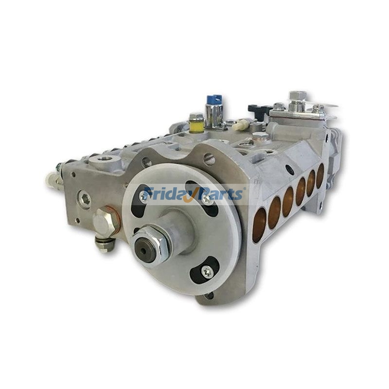 Einspritzpumpefür Motor