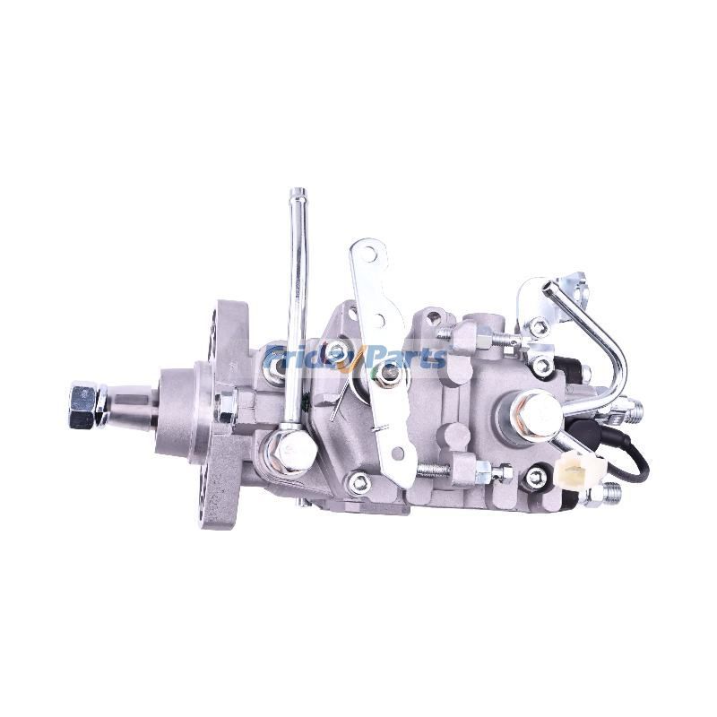 Fuel Injection Pump 825299 22100-87806 for Briggs & Stratton Horizontal Engine 582447-0125-A1 582447-0125-E2 582447-0131-E2 582447-0225-E2 582447-0231-E2 for less