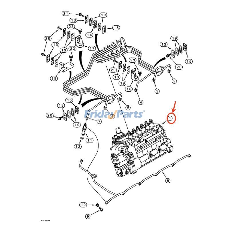 Fuel Injection Pump for Engine